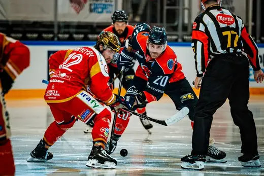 Nijmegen Devils